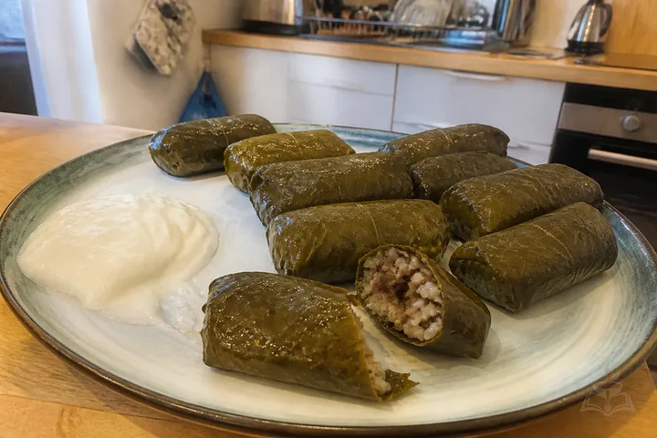 Armenian grape leaf tolma with garlicky matsoni and herbs