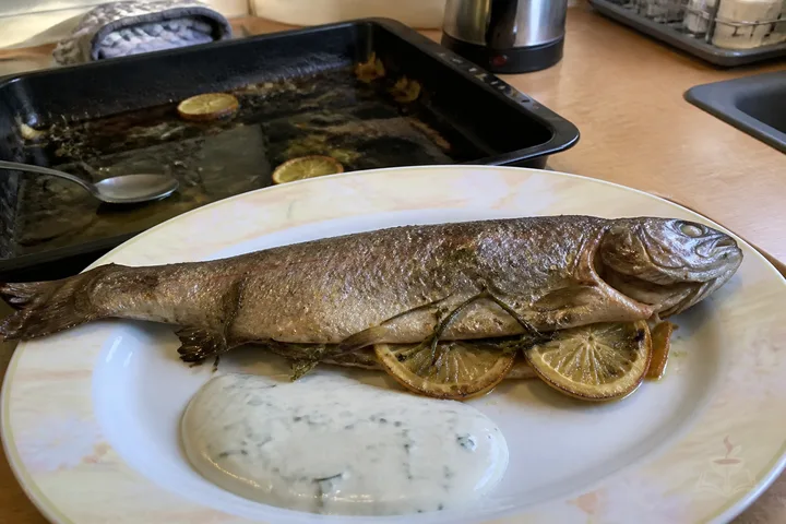 Ishkhan style whole trout with lemon tarragon and cream sauce