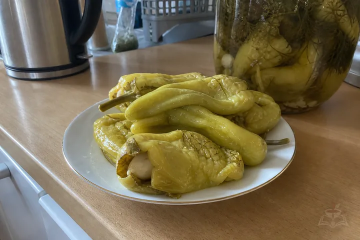Armenian fermented green tsitsak peppers with garlic and dill